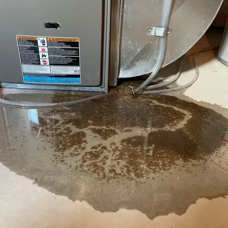 Appliance Leak Cleanup in Sloatsburg, NY